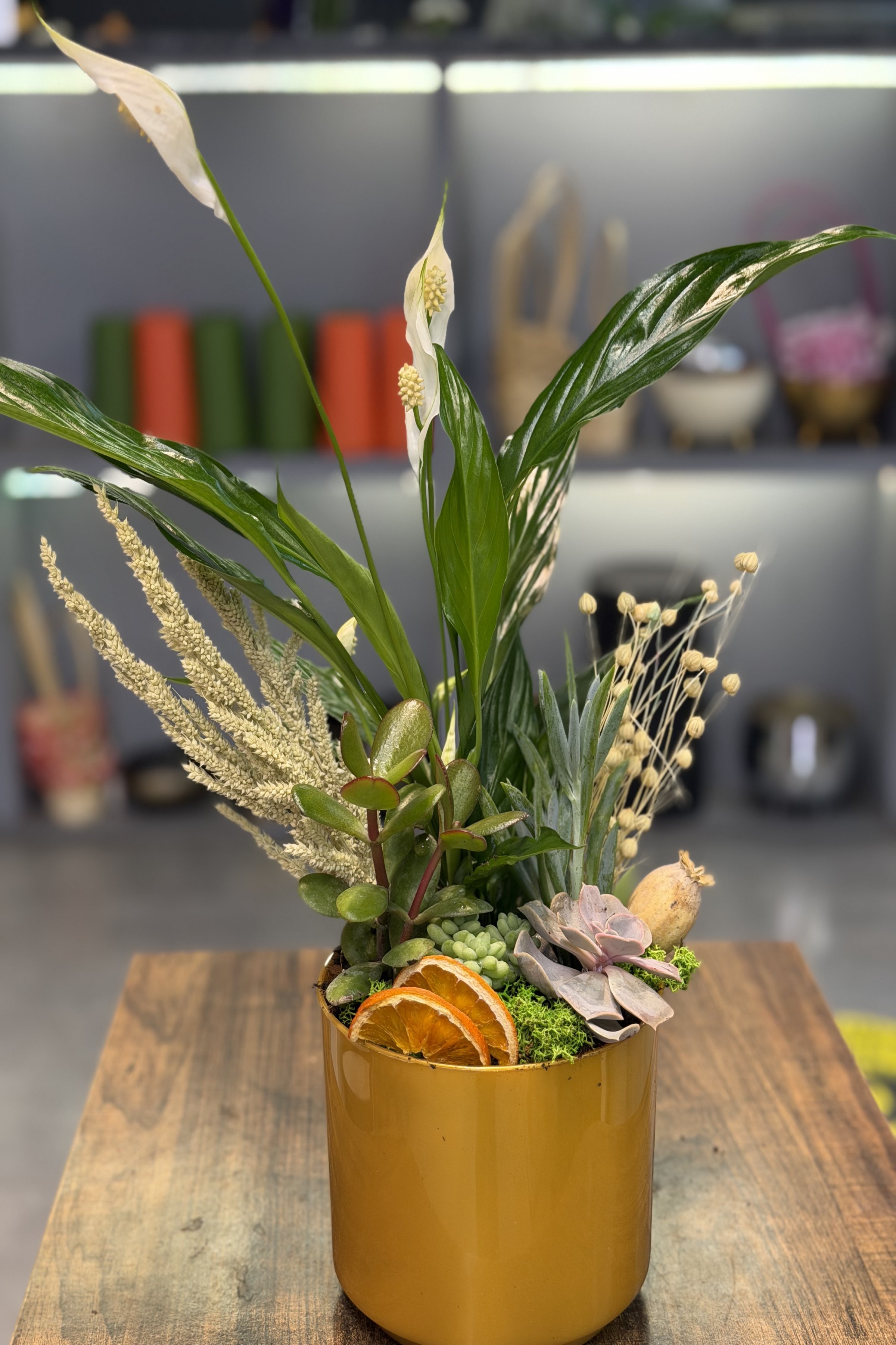 Gold saksı bitki aranjman 